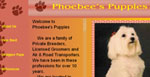 DreamWeaver, Javascript, Flash/ PHP/ MySQL,  Actionscript, Photoshop, Client CMS